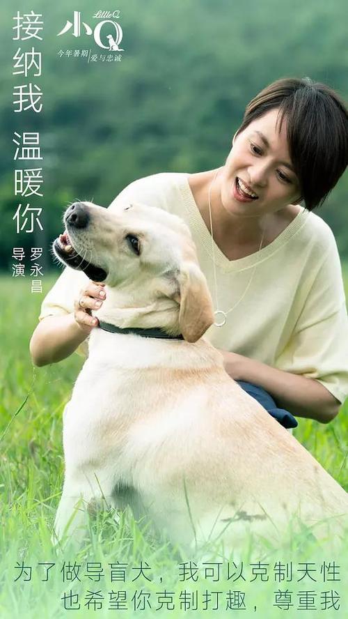 洛杉矶分校留信网认证办理